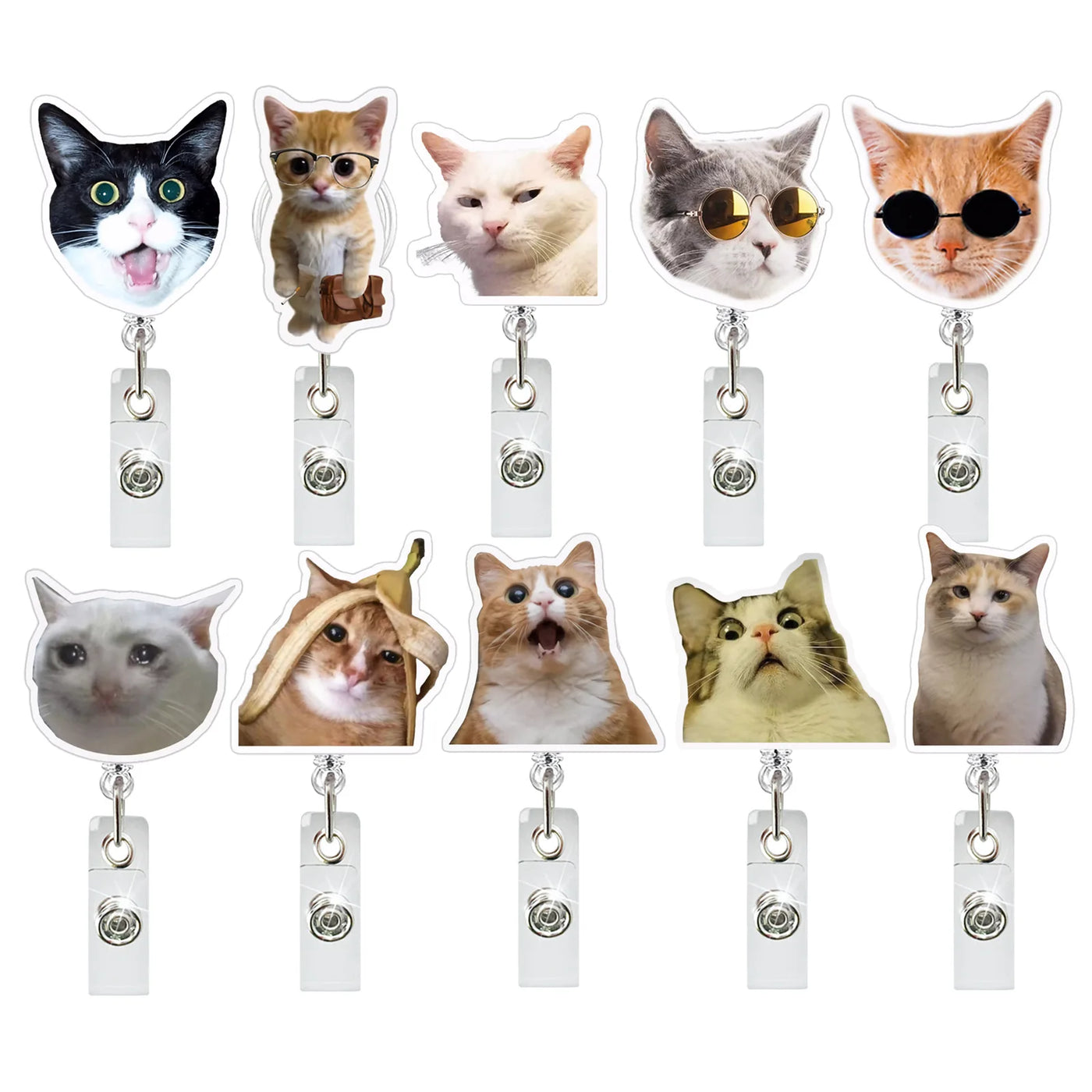 Funny Cat Clip